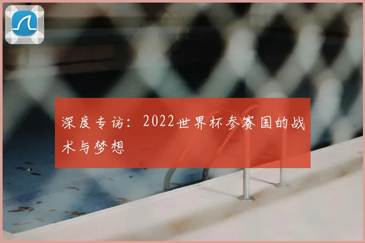 深度专访：2022世界杯参赛国的战术与梦想