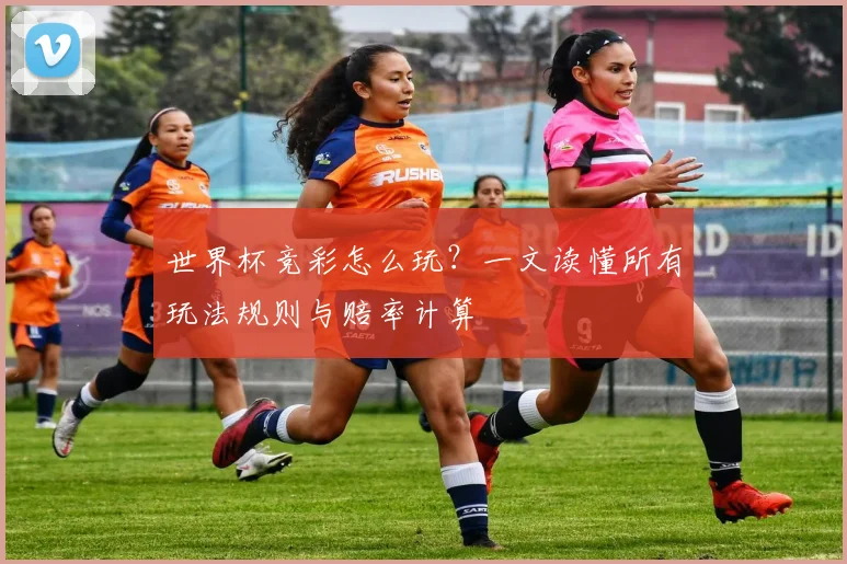 世界杯竞彩怎么玩?一文读懂所有玩法规则与赔率计算