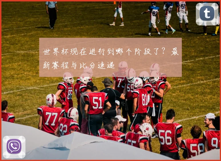 世界杯现在进行到哪个阶段了?最新赛程与比分速递