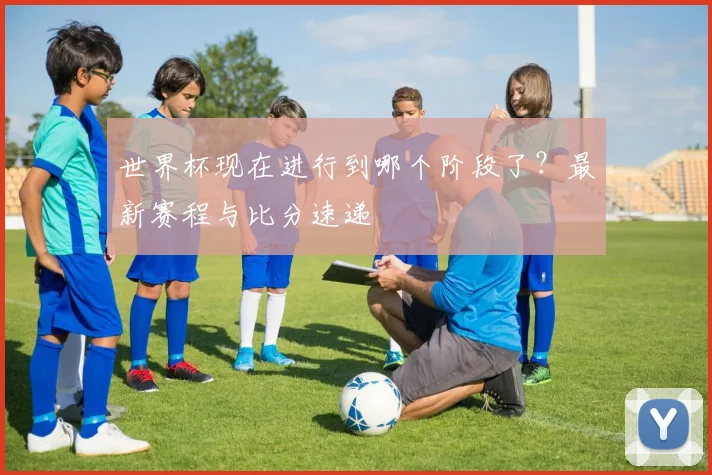 世界杯现在进行到哪个阶段了？最新赛程与比分速递