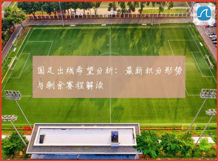 国足出线希望分析:最新积分形势与剩余赛程解读