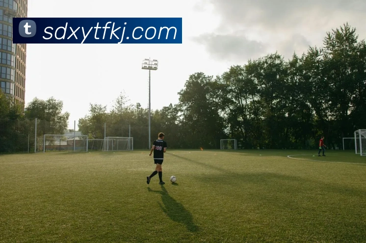 回顾克罗地亚世界杯历史:三夺奖牌背后的足球哲学与国家精神